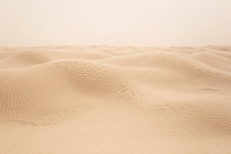 Sahara Desert Dunes